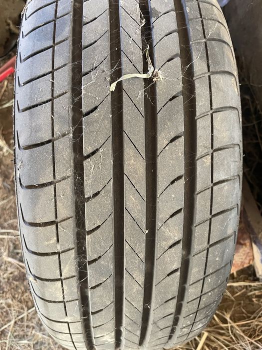 Gentra radnoy Balon 15 4 dona bor