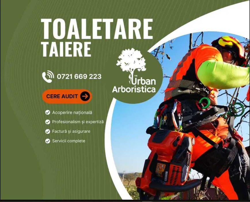 Toaletare Copaci Tăiere Arbori Defrișare Copaci Periculoși Gard Viu
