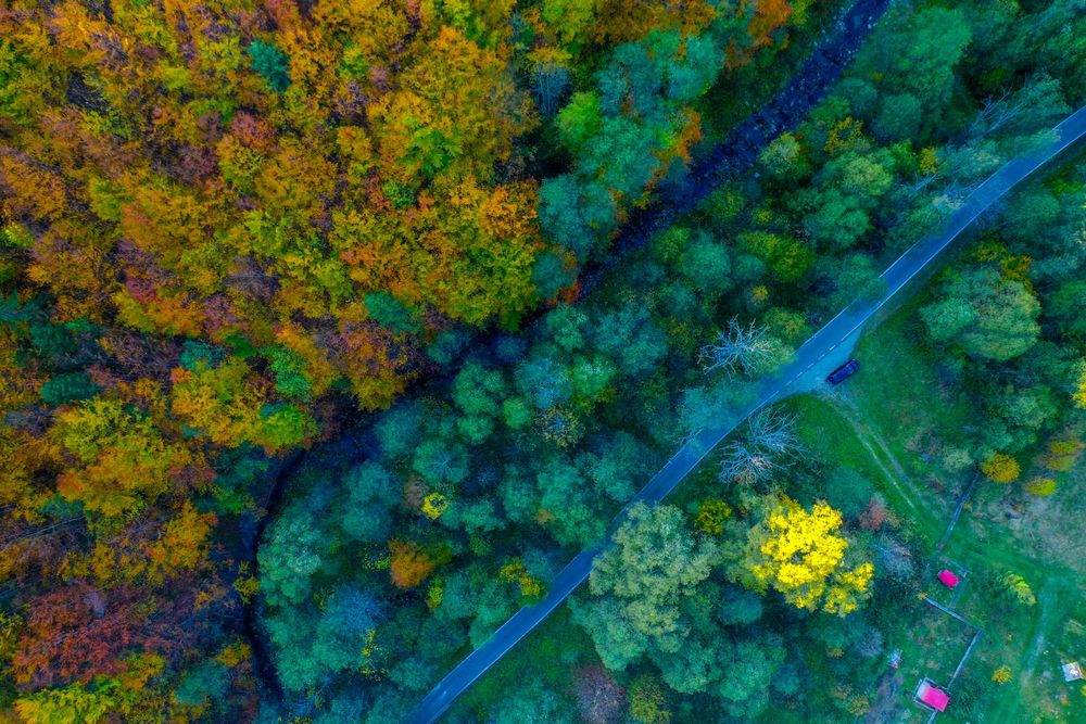 Drona DJI Mavic 2 Pro extraordinar de stabila la vant.