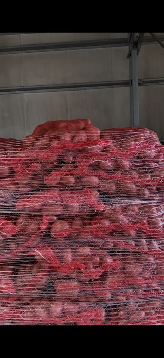 Spre vânzare cartofi roșii și albi Cartofi roșii – 1,50 lei/kg Cartofi albi – 1,30 lei/kg Disponibili mari si  mici