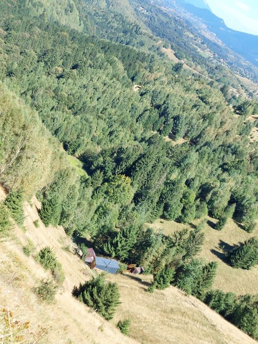 Tiny House Delia Fundata  Disponibila de la 1 August