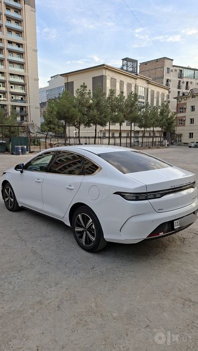 Byd Chazor full 120 gibrid