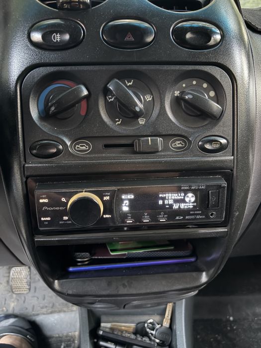 Pioneer delfin Mafoon