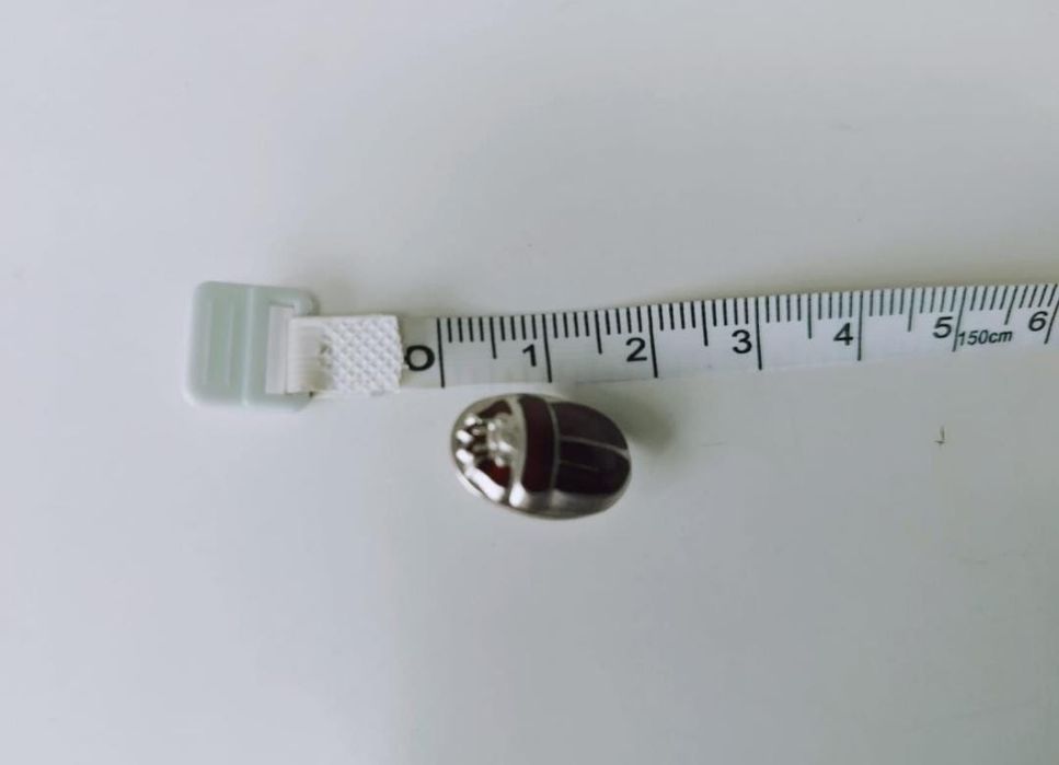 Vechi nasture argint 925 buton scarabeu cu email rosu Anglia