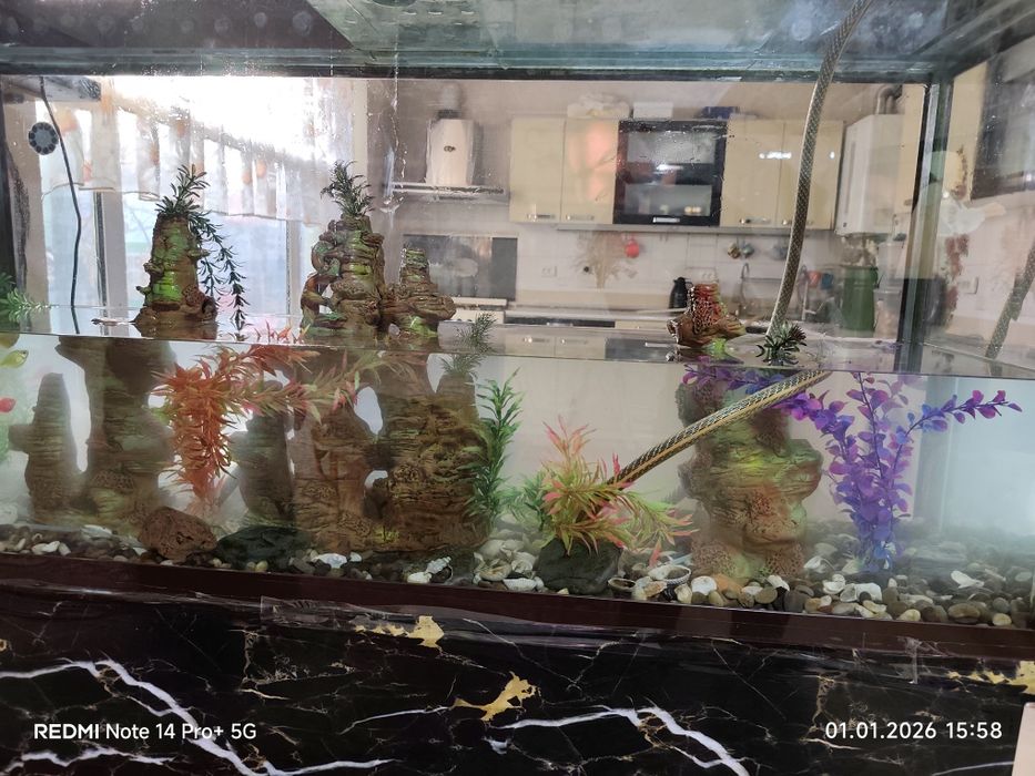 Чистка аквариума