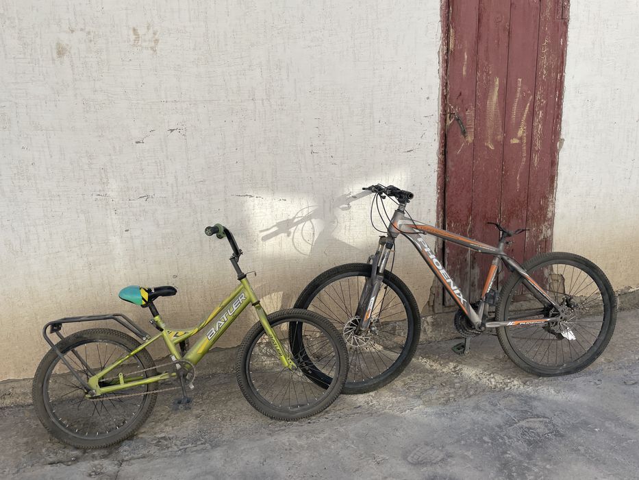 Велик phoenix ..