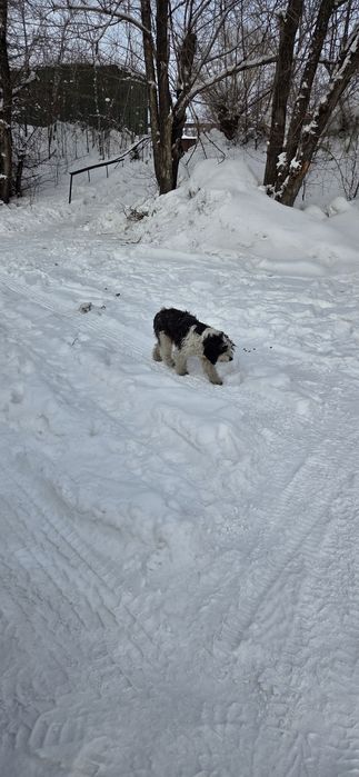 Пристраивется девочка молодая