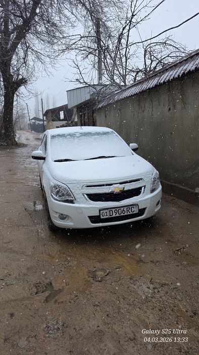 COBALT Avromat  2024  ideal