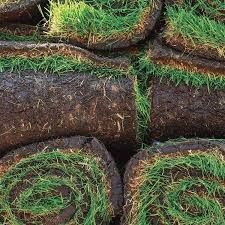 Gazon Rulou sisteme de irigare