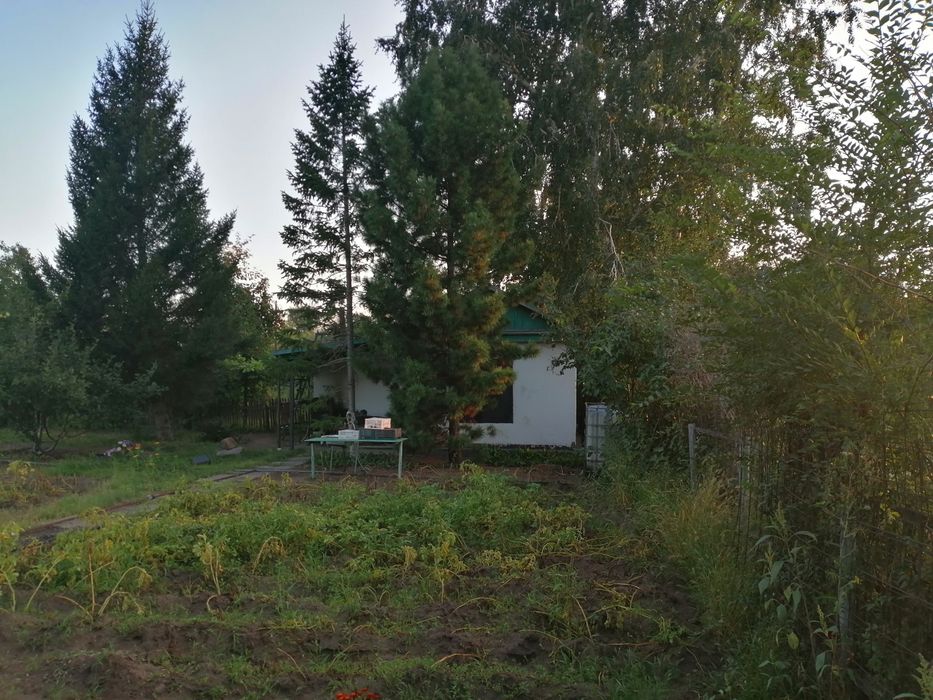 Участок. Около дома малютки