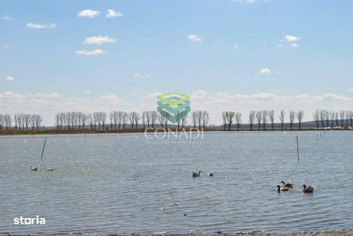 Oportunitate investitionala | Ferma piscicola 233 ha | Calarasi
