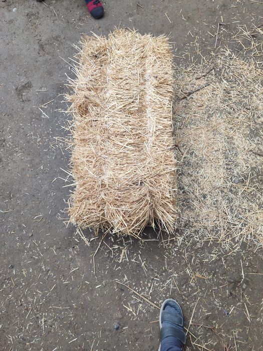 Chorva mol qoy uchun somon pres bor.