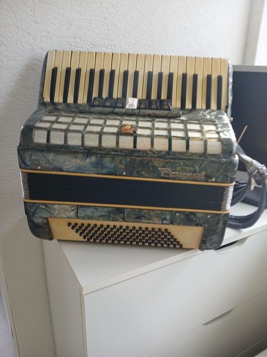Acordeon Parrot 96 basi