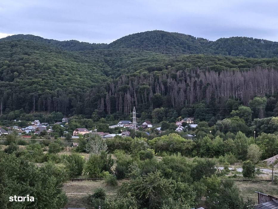 3 camere zona P-ța centrală priveliște spre pădure si râul Bistrița!