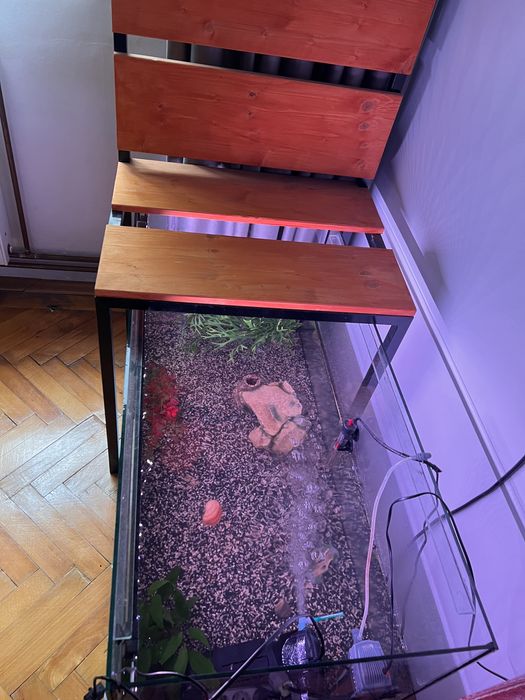 Vând acvariu complet utilat Garra Rufa