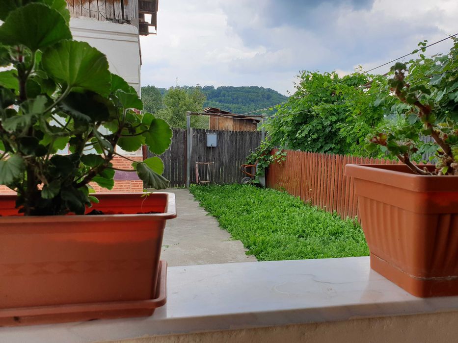 Vand doua case Stalpeni, Arges + teren arabil, 400mp + 4375mp, livada