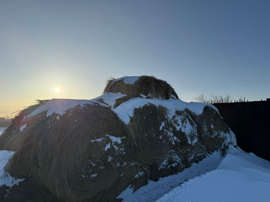 Продается сена рулонами
