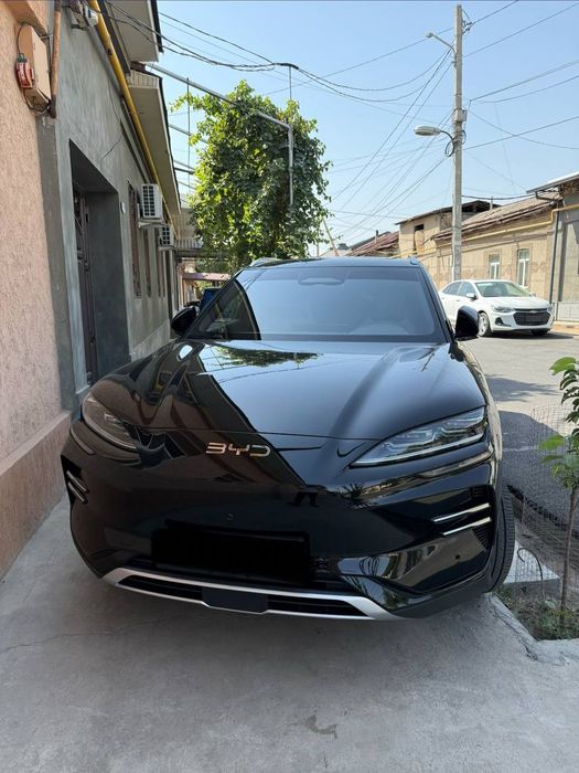 Byd chempion restaylig