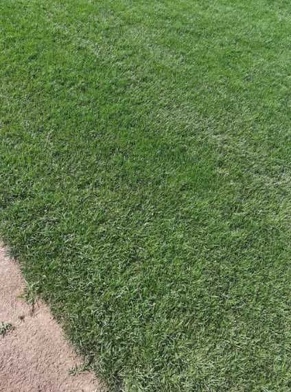 Gazon Rulou cu Montaj Inclus – Calitate Premium, Preț Discutabil