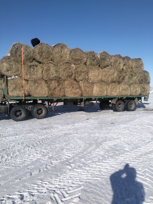 Продам луговое сено в рулонах