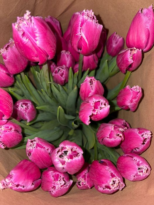 Тюльпаны оптом и розницу