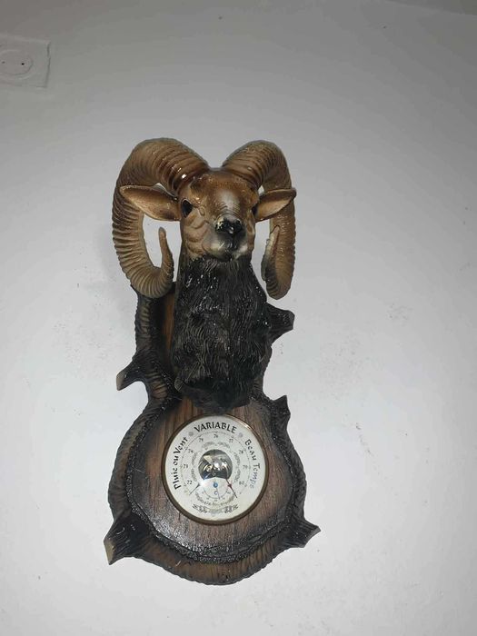 Barunetru cu tenta Tap de munte decor cabana