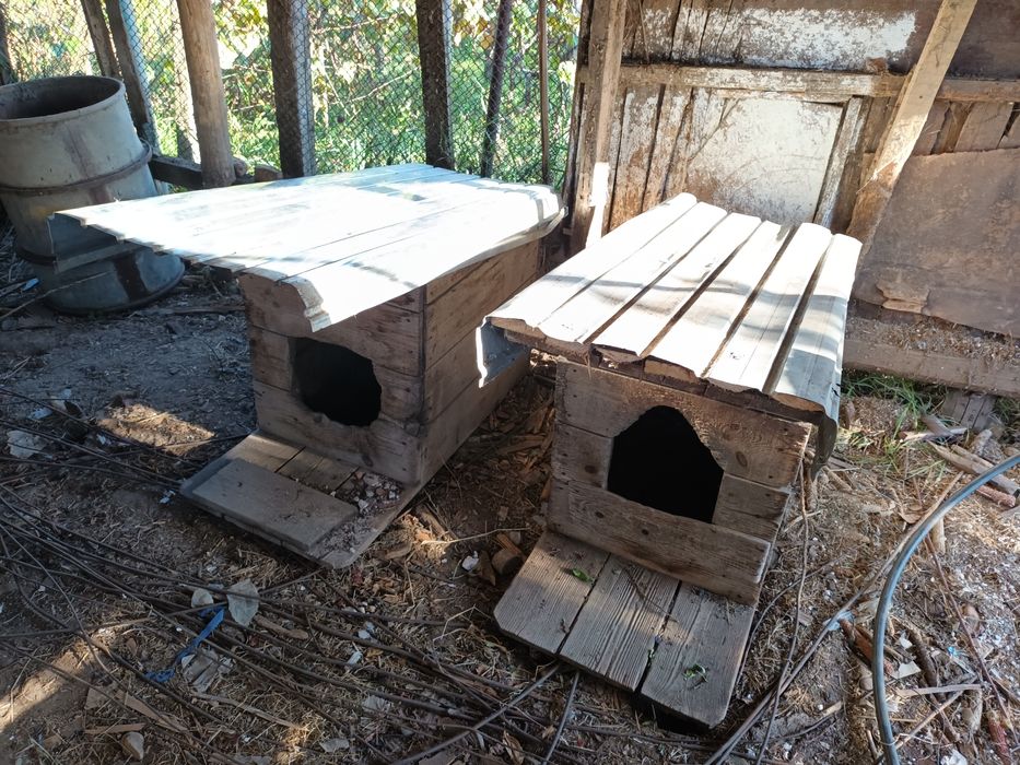 Cusca pentru câine talie mare, 2 bucăți,