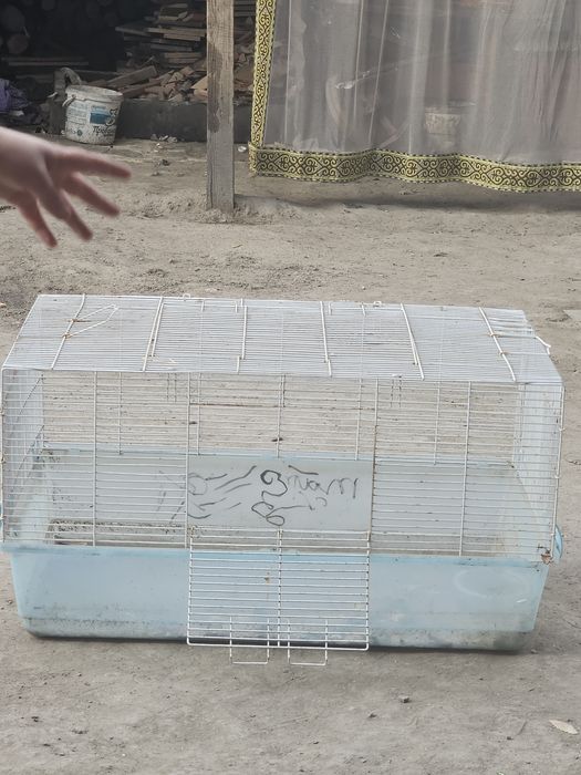 Клетка продам срочно
