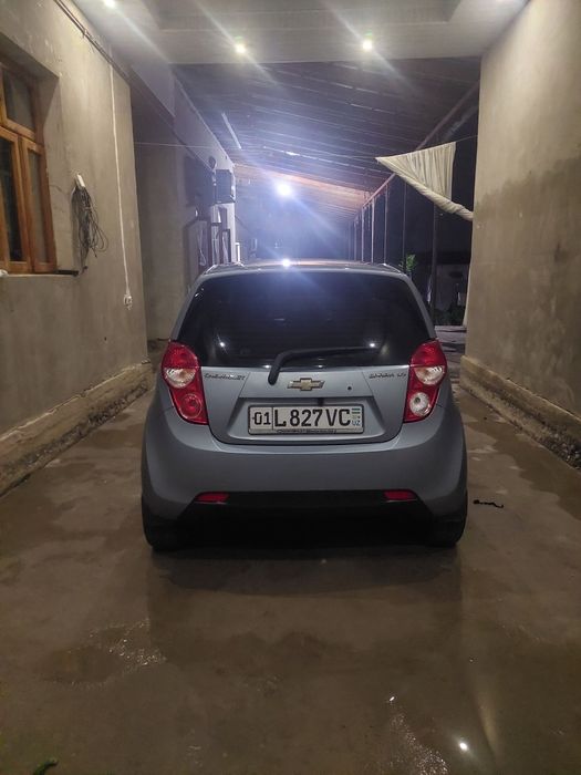 Spark delfin rang but butun moshina kraska top tozza.