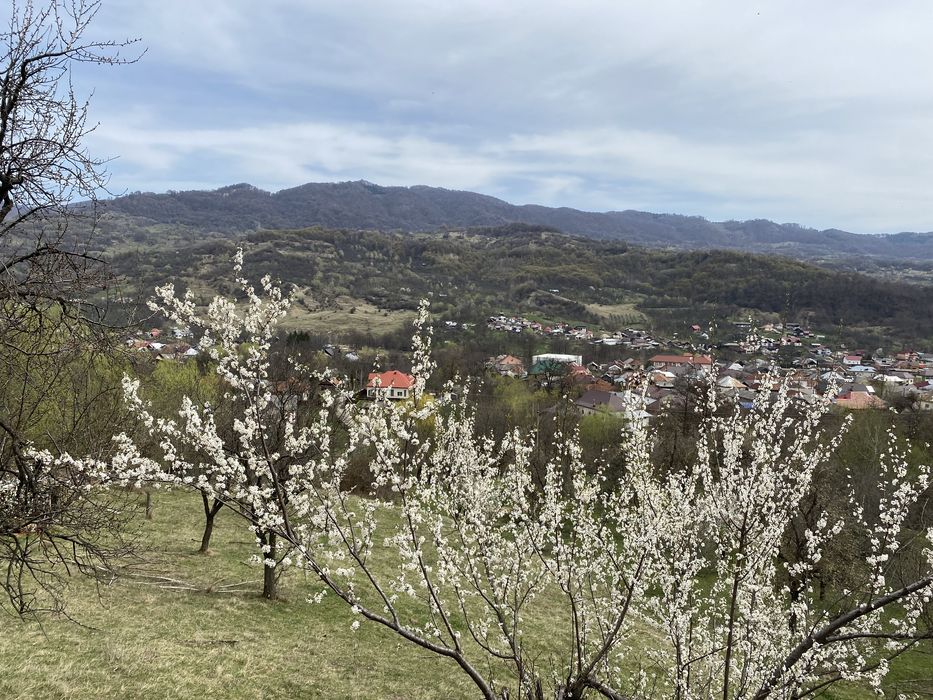 Teren intra/extravilan