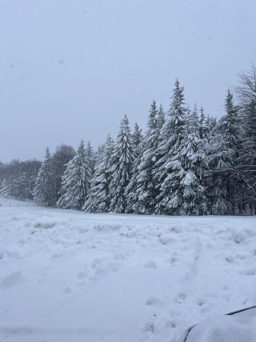 iPhone 13 PRO GOLD, 256GB.