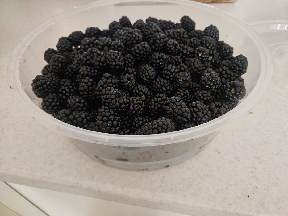 Продам ежемалину 2 кг за 2000