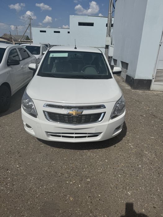 Kobalt MSM stayl 2026