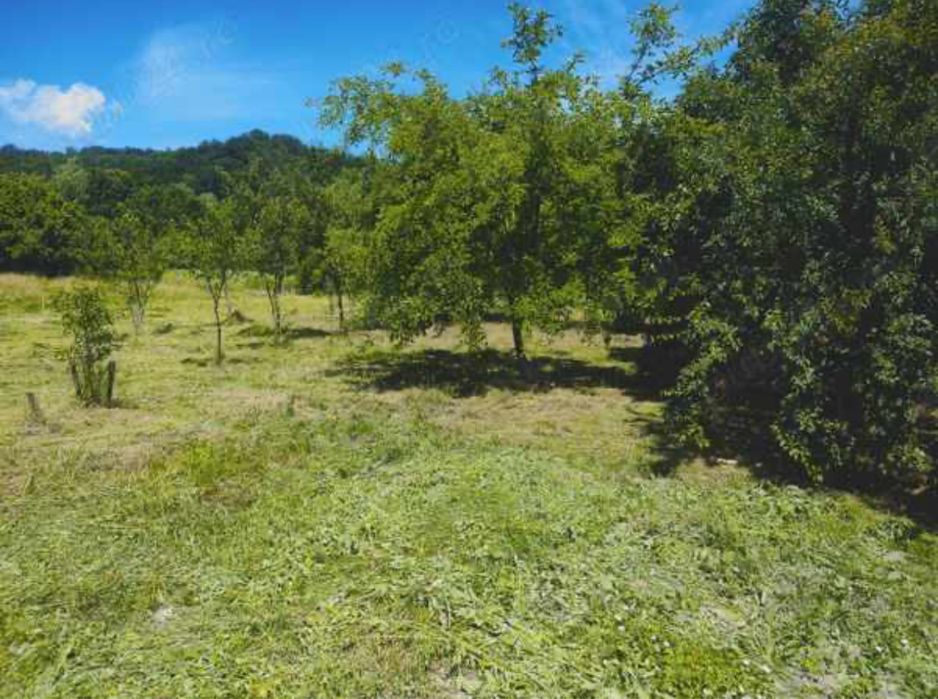 Casa in Ilteu ,jud.Arad ,pret negociabil