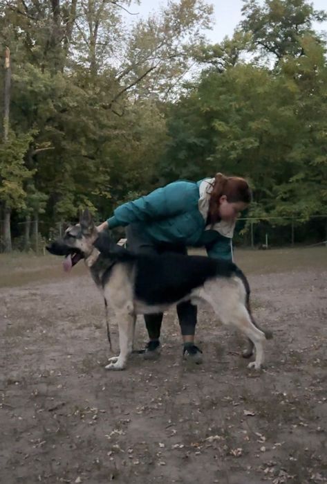 Вео на вязку кобель