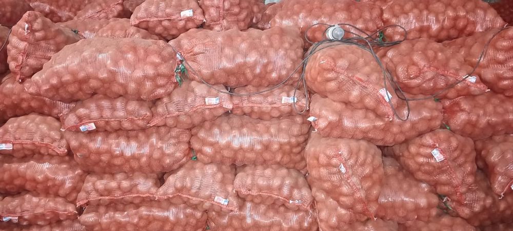 Картофель Гала.,