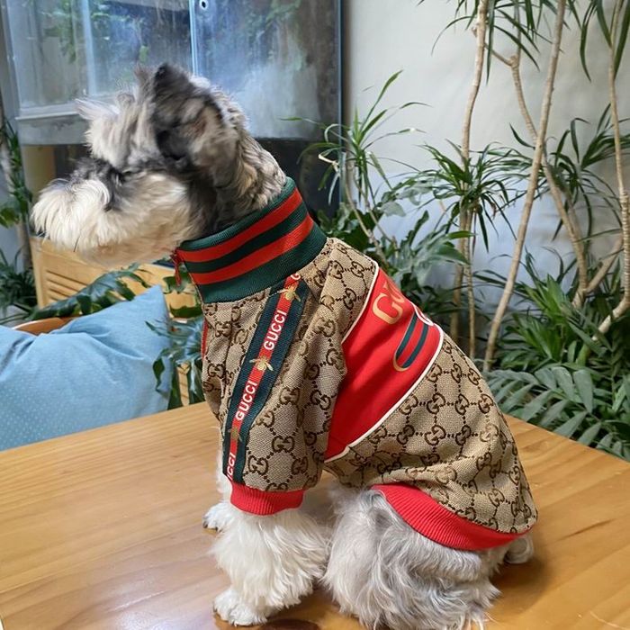 Яке за куче Gucci - размер М