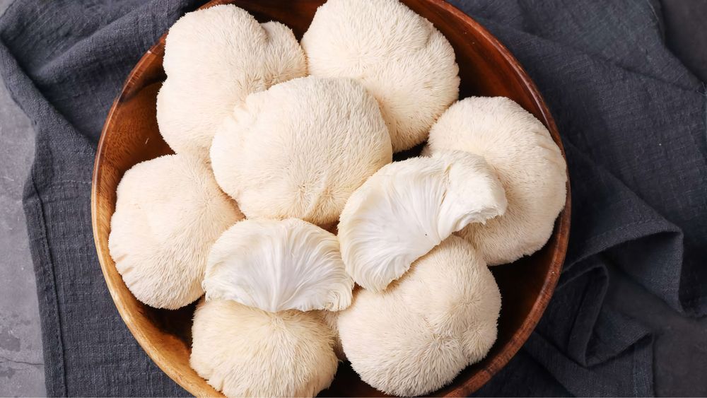 Ежовик гребенчатый