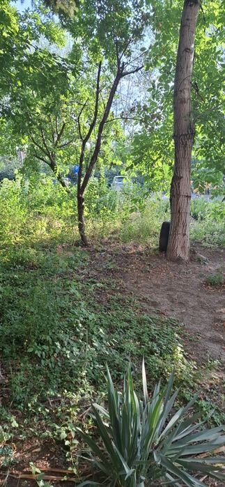 Tund iarba / defrisez curti, gradini