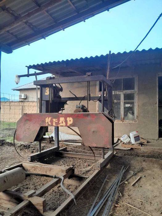 Жағдайы жақсы ара