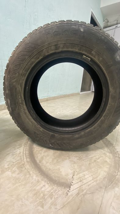 шины зима с шипами