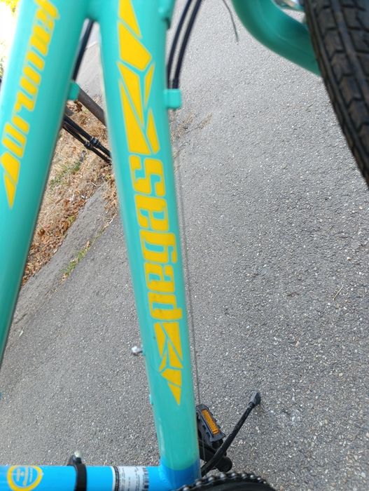 Bicicleta Pegas copii 24 cm