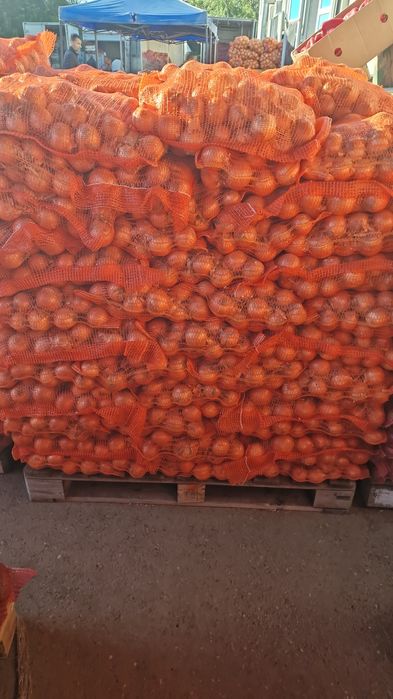 Ceapa import 10kg