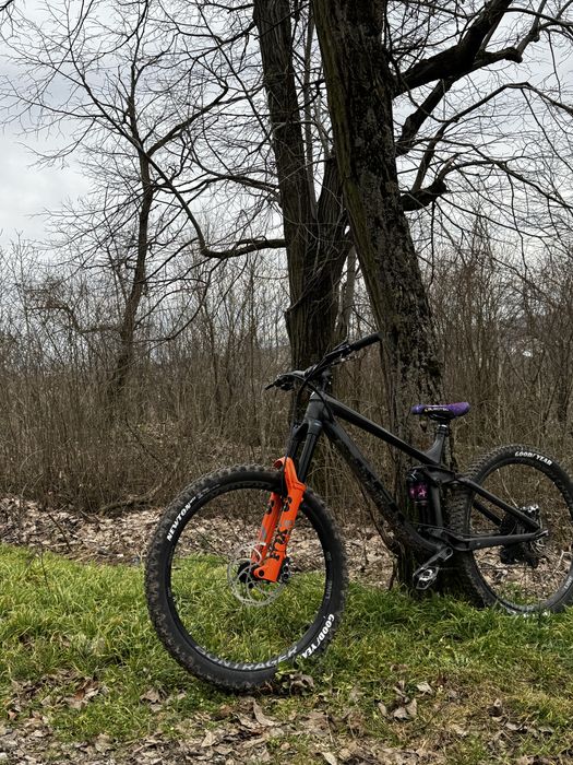 vand cadru trek remedy 8