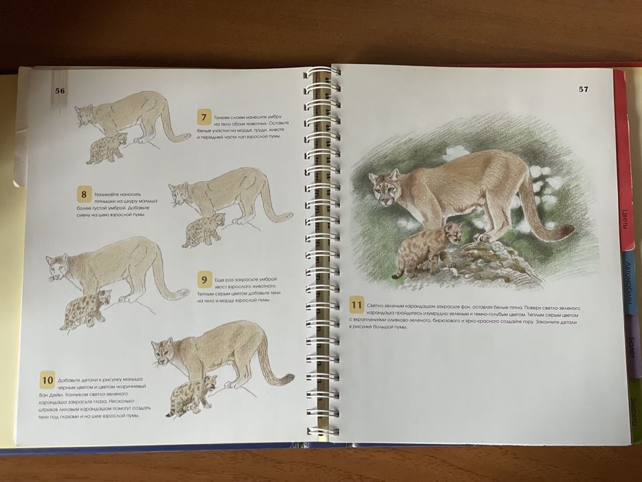 Самоучители по рисованию