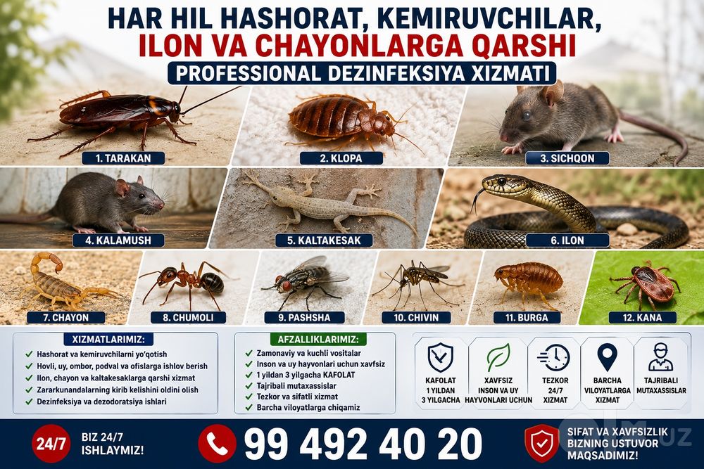 Dezinfeksiya kalamush Dezinfeksiya sichqon