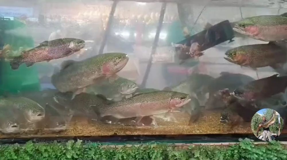 Отдел продажи живой рыбы