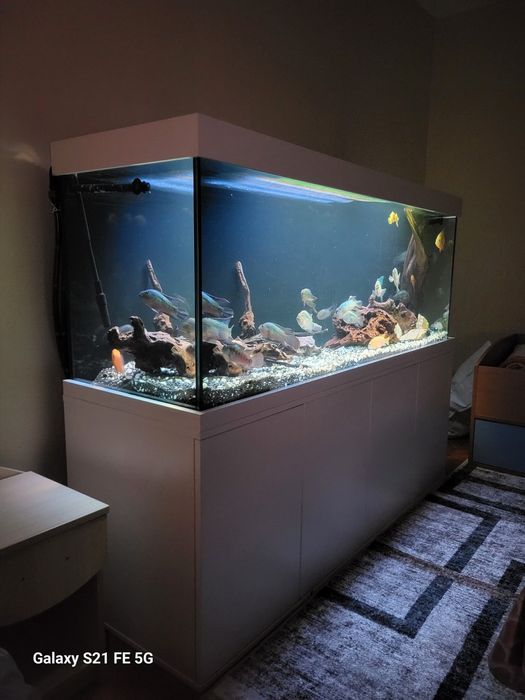 Изработка на Аквариуми (шкафове и капаци)