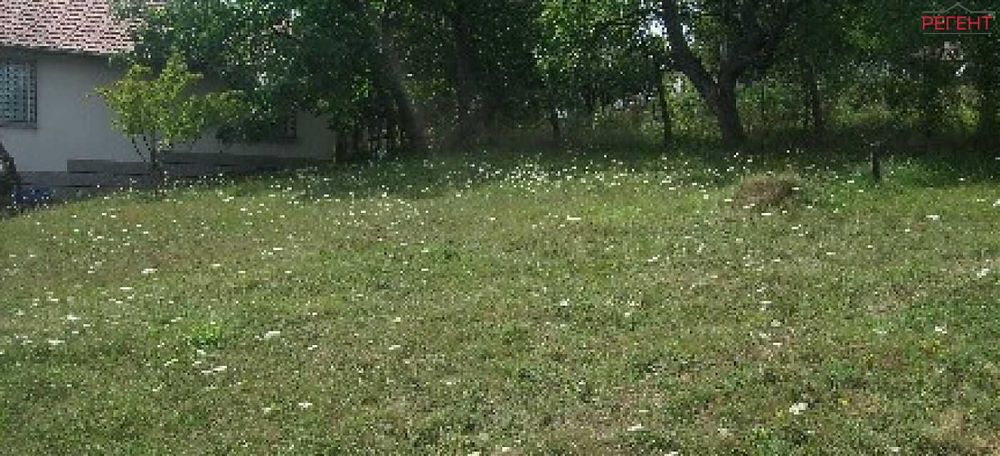 Парцел-Петкова нива-3200м²
