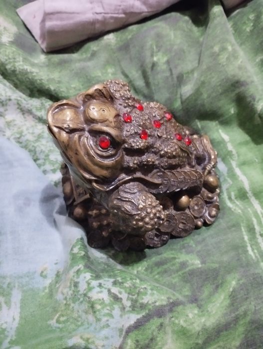 Suviner qurbaqa koʻzlari qizil